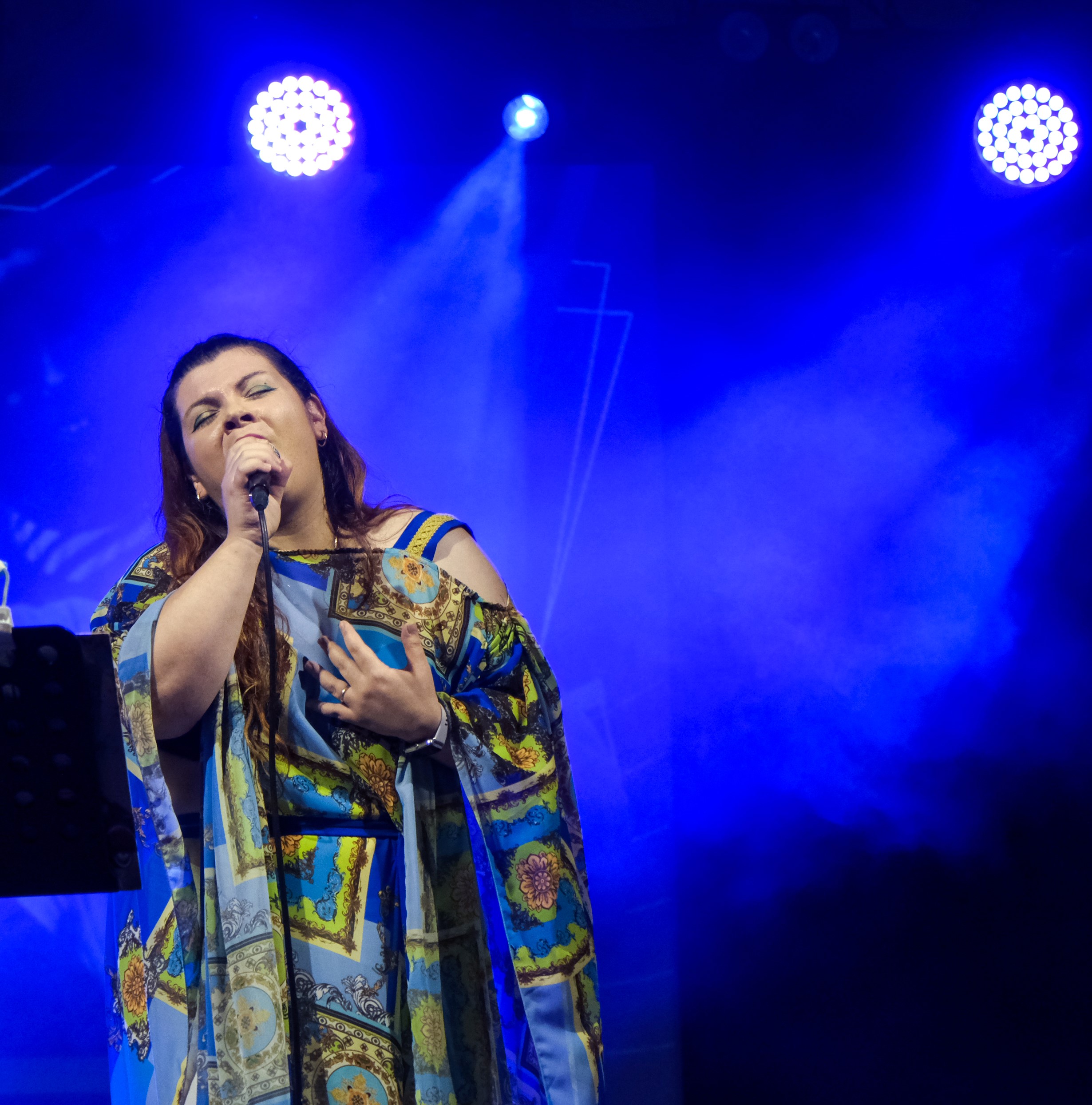 Presidente di +Artisti, Giuseppina Gazzella